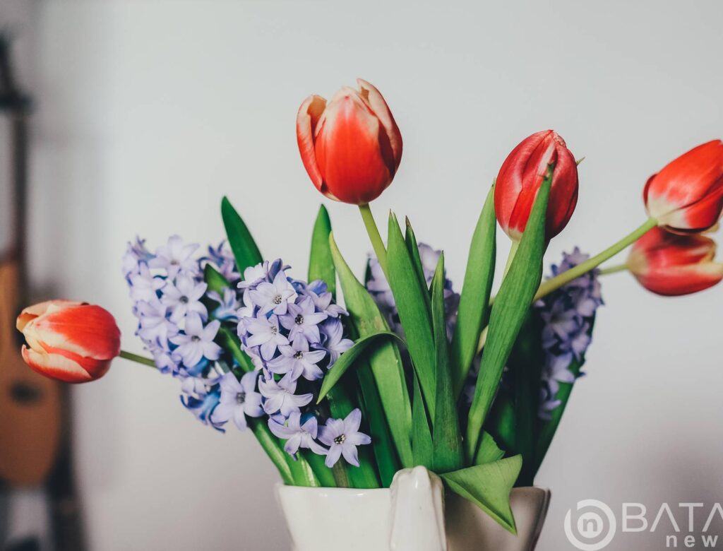 G7 Climate Finance Initiative Will Struggle Against China’s Belt and Road Project