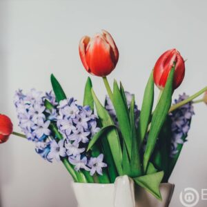 Troubled Gold Miner Sold Stake For 75% Less