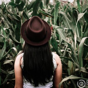 Digital Euro Might Suck Away 8% of Banks’ Deposits