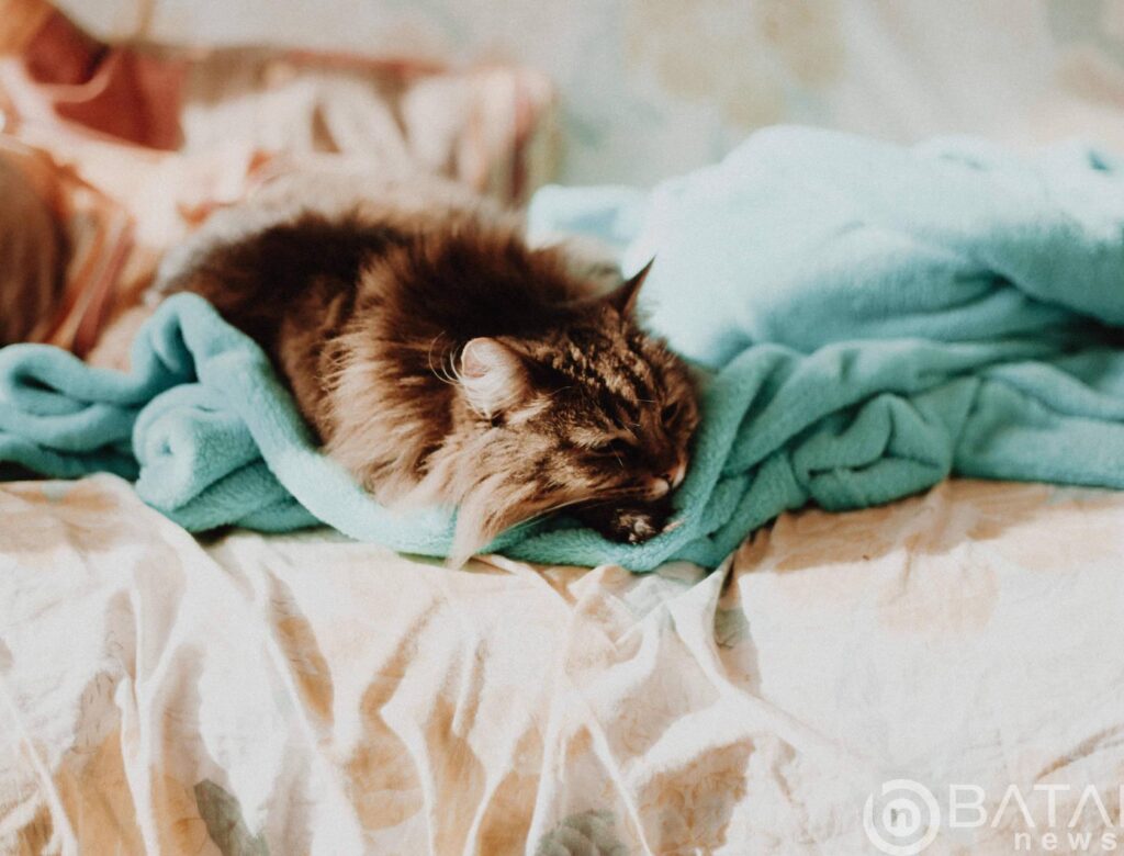 ​Euro Business Growth Accelerating At Its Fastest Pace Since 2019