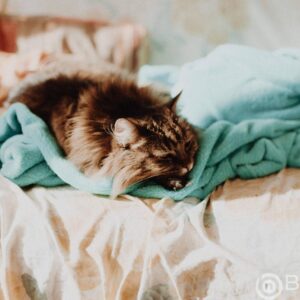 ​Euro Business Growth Accelerating At Its Fastest Pace Since 2019