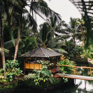 ‘Unceasing Congestion’: China’s Shipping Delays Snarl Trade