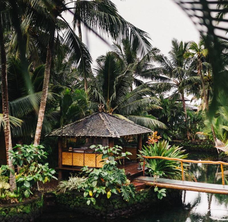 ‘Unceasing Congestion’: China’s Shipping Delays Snarl Trade