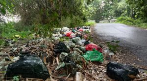 Sampah Menumpuk dan Berserakan Berbau Busuk di Desa Grogolsari
