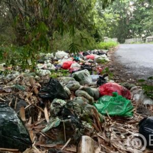 Sampah Menumpuk dan Berserakan Berbau Busuk di Desa Grogolsari