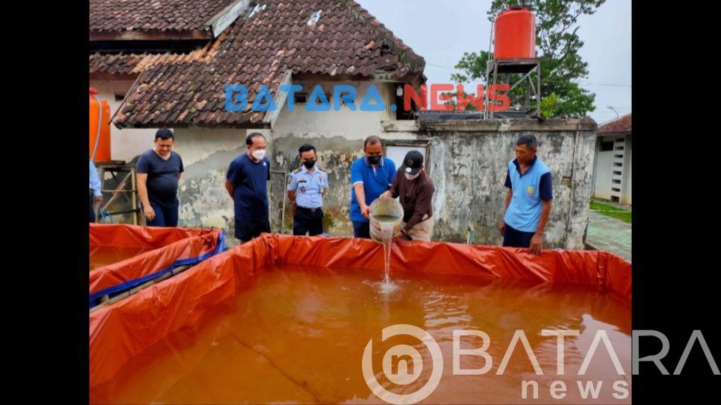 Berhasil budidaya ikan Lele jadi kemandirian SAE binaan Lapas Pati