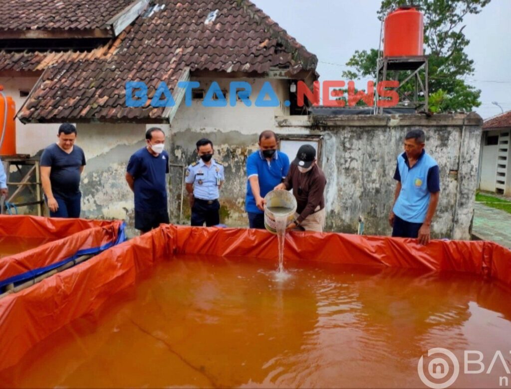 Berhasil budidaya ikan Lele jadi kemandirian SAE binaan Lapas Pati
