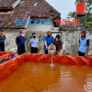 Berhasil budidaya ikan Lele jadi kemandirian SAE binaan Lapas Pati