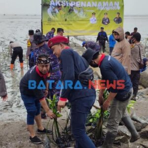10.000 Pohon Mangruve di tanam di Pantai Cinta Banyutowo