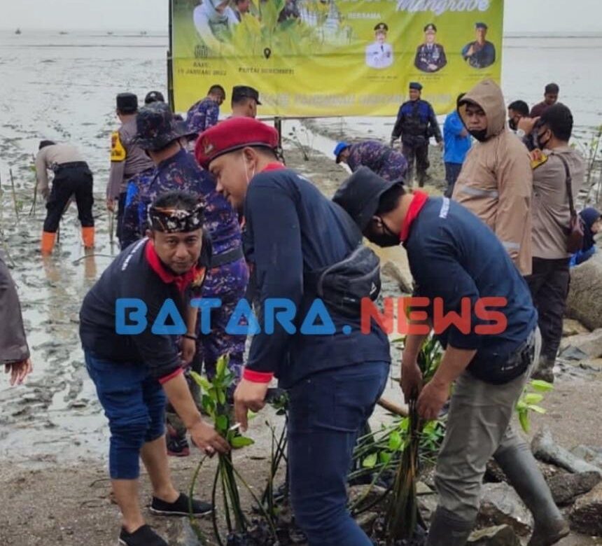 10.000 Pohon Mangruve di tanam di Pantai Cinta Banyutowo