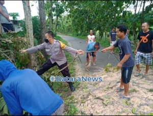 Respon Cepat Laporan Warga, Petugas Gabungan Di Bogorejo Blora Evakuasi Pohon Tumbang