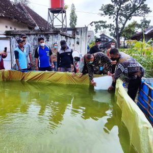 Lapas IIB Pati Tabur 16.000 Benih Ikan Lele Bersama  Kepala Bidang Pengembangan Dan Budidaya Dinas Kelautan Dan Perikanan Kabupaten Pati