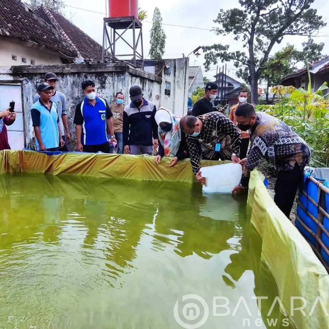 Lapas IIB Pati Tabur 16.000 Benih Ikan Lele Bersama Kepala Bidang Pengembangan Dan Budidaya Dinas Kelautan Dan Perikanan Kabupaten Pati Lapas IIB Pati Tabur 16.000 Benih Ikan Lele Bersama Kepala Bidang Pengembangan Dan Budidaya Dinas Kelautan Dan Perikanan Kabupaten Pati