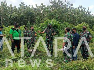 Dukung Program Ketahanan Pangan, Dandim 0808/Blitar Cek Secara Langsung Di Lapangan