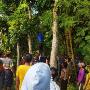 Di Temukan Mayat di Atas Pohon, Gegerkan Warga Desa Tambaharjo Kecamatan Tambakromo