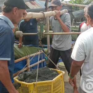 Lapas Pati Panen LeLe 280 Kg, Keberhasilan SAE Lapas Kelas llB Pati