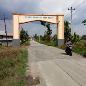 Petani Tembakau Keluhkan langkanya Pupuk, Berdampak besar Pada Tanamanya