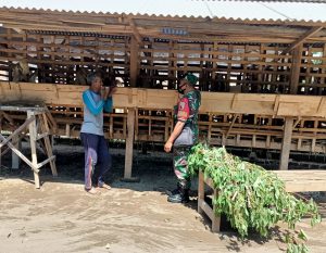 Babinsa Koramil Ponggok Laksanakan Pemantauan Dan Pengecekan Hewan Ternak Milik Warga Binaannya