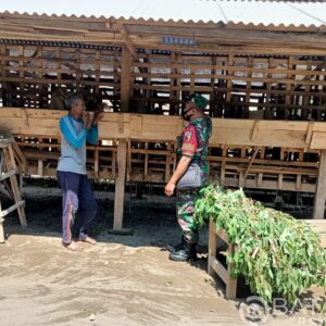 Babinsa Koramil Ponggok Laksanakan Pemantauan Dan Pengecekan Hewan Ternak Milik Warga Binaannya