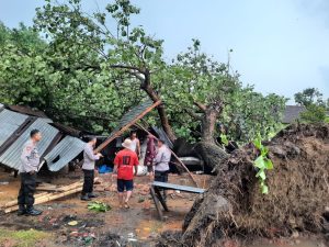 Gabus, Hujan disertai Angin Kencang Akibatkan Pohon Tumbang dan Bangunan kocar-kacir