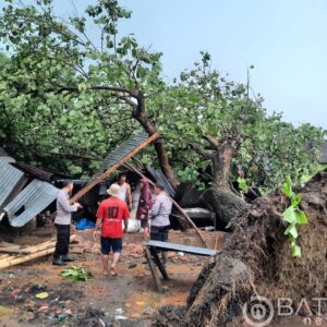 Gabus, Hujan disertai Angin Kencang Akibatkan Pohon Tumbang dan Bangunan kocar-kacir