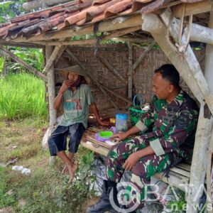 Komsos Dengan Petani, Babinsa Himbau Tingkatkan Produksi Dan Hasil Padi