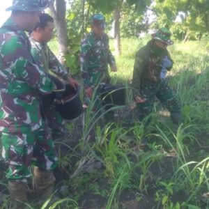 Koramil Sulang Melaksanakan Pemupukan Dan Penyemprotan di Lahan Demplot Koramil