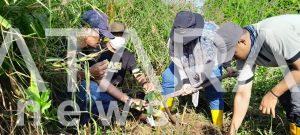 JMSI Kotabaru Bersama KPH Dukung Progam Revolusi Hijau Paman Birin