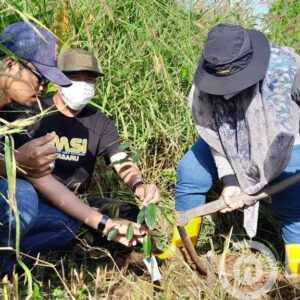 JMSI Kotabaru Bersama KPH Dukung Progam Revolusi Hijau Paman Birin