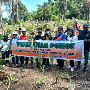Jaga Kelestarian Alam Kotabaru, Indocement Genjot Progam Penanaman Pohon