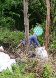 Terekam Vidio, Pemulung Mencuri Barang Milik Pabrik, Kasusnya Dalam Penyelidikan Kepolisian