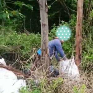 Terekam Vidio, Pemulung Mencuri Barang Milik Pabrik, Kasusnya Dalam Penyelidikan Kepolisian