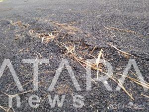 Proyek Fisik Pengaspalan Jalan Desa Banyudono Diduga di Kerjakan Asal Jadi