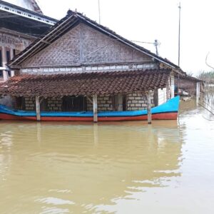 Belum Lama Surut Dari Banjir Kemarin, Kini Desa Mintobasuki Kembali Tergenang Banjir Lagi