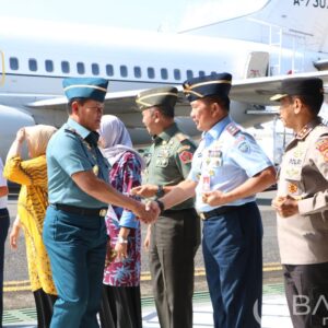 Dankoharmatau Sambut Kedatangan Panglima TNI