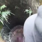 Geger warga Desa Puri Temukan Mayat Di Dalam Sumur Tua Keadaan Sudah Mulai membusuk