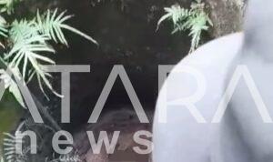 Geger warga Desa Puri Temukan Mayat Di Dalam Sumur Tua Keadaan Sudah Mulai membusuk