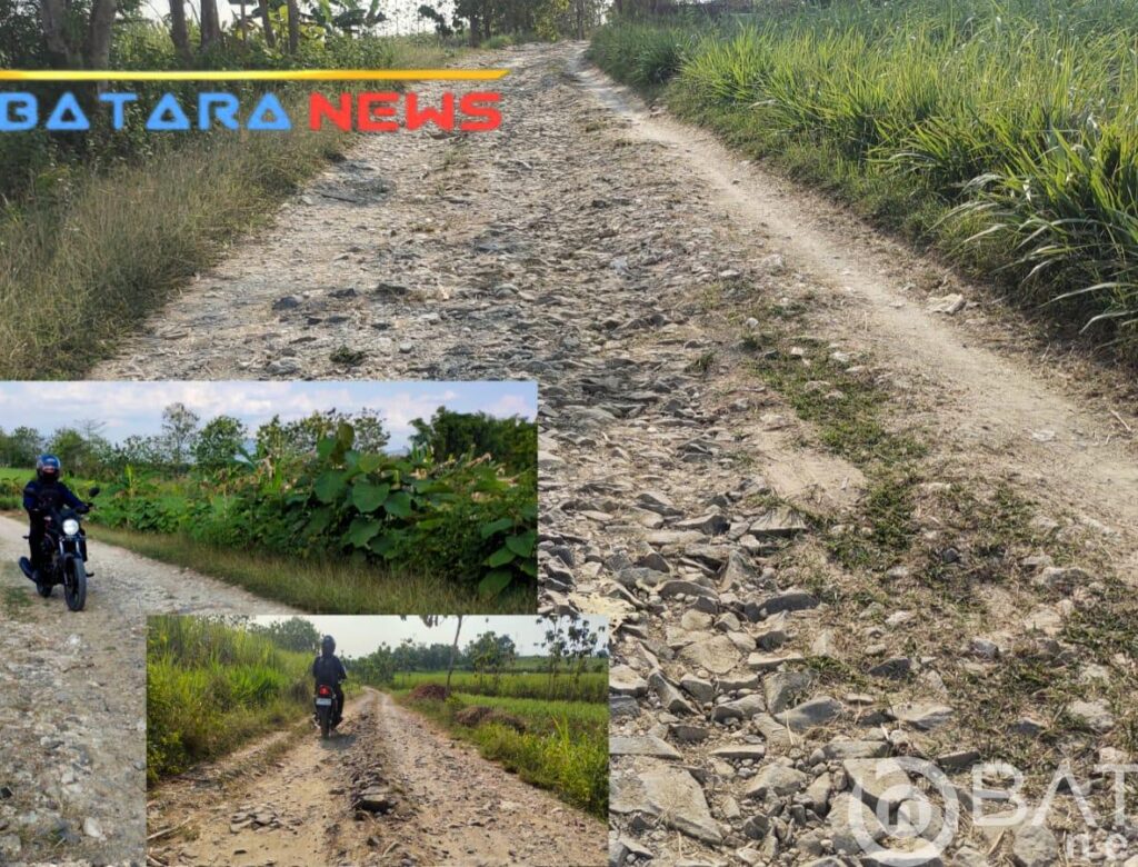 Jalan Desa Segoro Mulyo Remuk Parah, Warga Warga Berharap Ada Perbaikan Dari Pemerintah