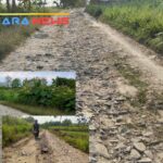 Jalan Desa Segoro Mulyo Remuk Parah, Warga Warga Berharap Ada Perbaikan Dari Pemerintah