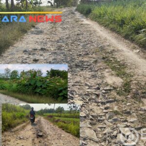 Jalan Desa Segoro Mulyo Remuk Parah, Warga Warga Berharap Ada Perbaikan Dari Pemerintah