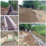 Proyek P3-TGAI Desa Purwosari Tlogowungu Di Garap Asal-asalan, Disinyalir Demi Meraup Keuntungan Yang Berlebihan