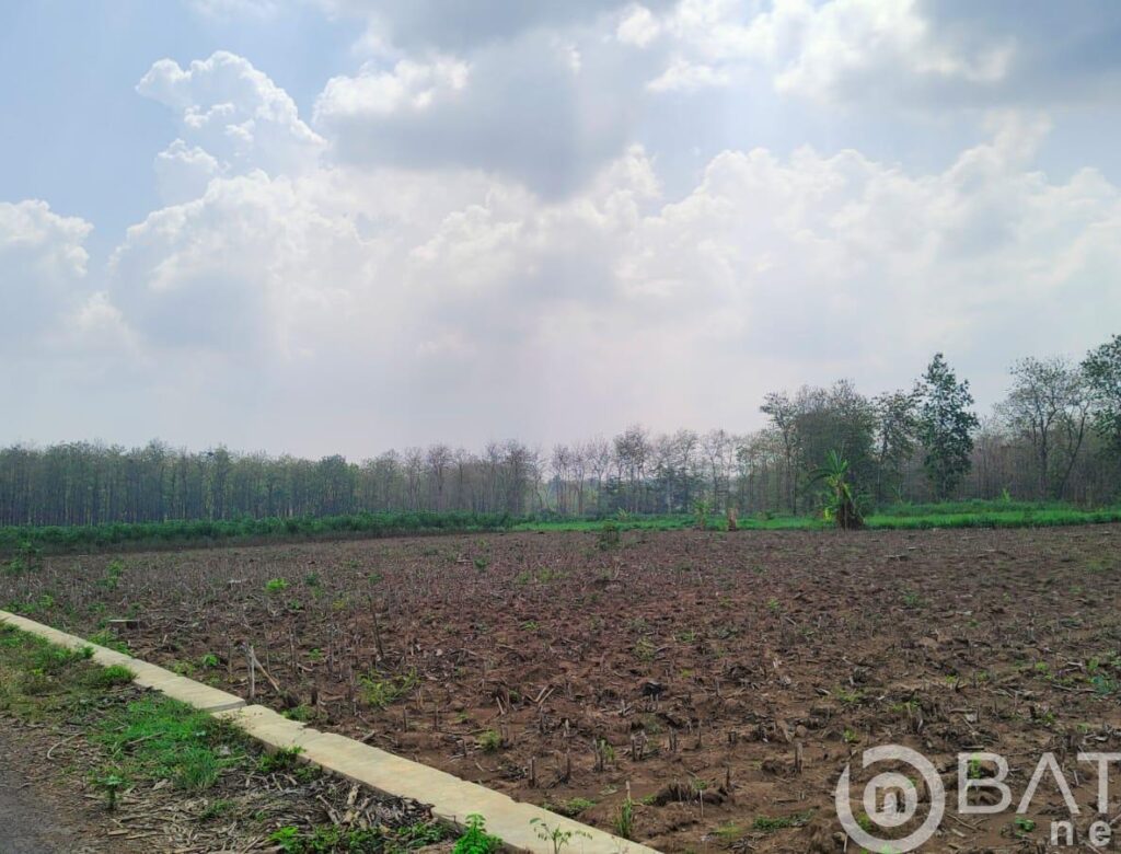 LMDH Desa Sumbermulyo Akan Dilaporkan Terkait Jual-beli Tanah Perhutani Secara Ilegal