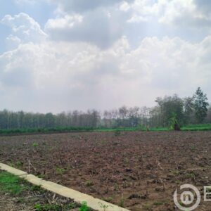 LMDH Desa Sumbermulyo Akan Dilaporkan Terkait Jual-beli Tanah Perhutani Secara Ilegal