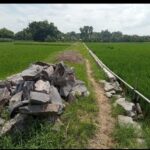 Proyek Talud Dan Makadam Desa Tegalwero Terbengkalai, Kenapa Bisa Begitu?
