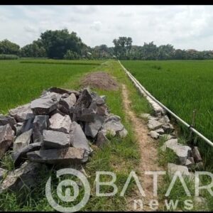 Proyek Talud Dan Makadam Desa Tegalwero Terbengkalai, Kenapa Bisa Begitu?
