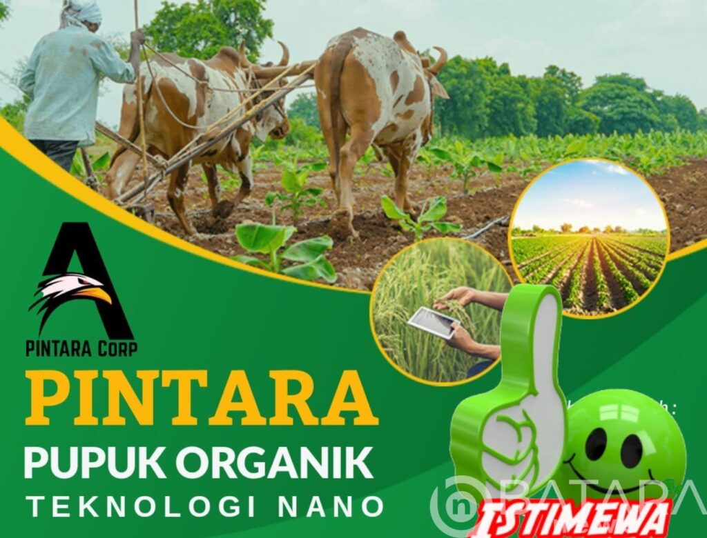 Kasiat PINTARA, jadi solusi Bisa Hemat Pupuk Subsidi