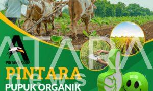 Kasiat PINTARA, jadi solusi Bisa Hemat Pupuk Subsidi