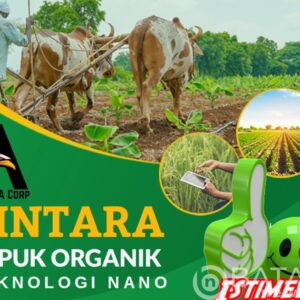 Kasiat PINTARA, jadi solusi Bisa Hemat Pupuk Subsidi