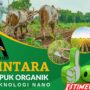 Kasiat PINTARA, jadi solusi Bisa Hemat Pupuk Subsidi