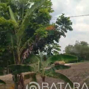 Mafia Tambang Keruk Alam Bojonegoro, ciptakan potensi kerugian negara, Ironisnya Tak Satupun APH Bertindak